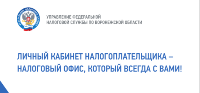 ИзображенияНижниеБаннеры.