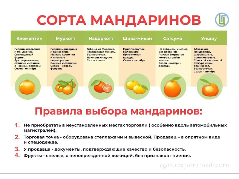Правила выбора мандаринов.