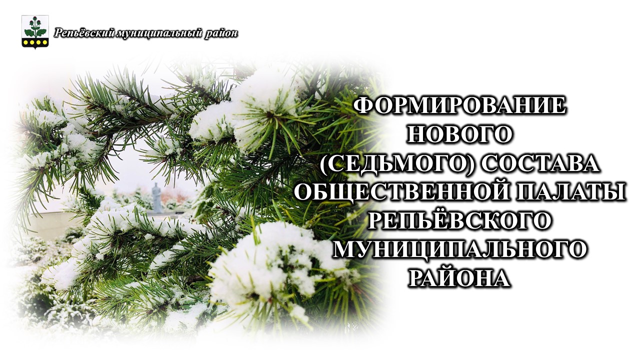 О формировании нового (седьмого) состава общественной палаты Репьёвского муниципального района.