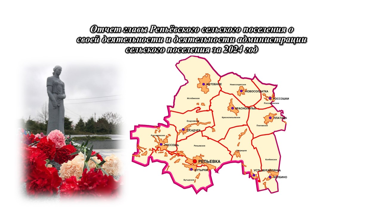 Отчеты глав сельских поселений Репьёвского муниципального района о результатах своей деятельности и деятельности администраций сельских поселений за 2024 год.