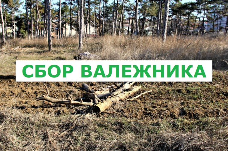Памятка для граждан, осуществляющих заготовку и сбор валежника для собственных нужд.