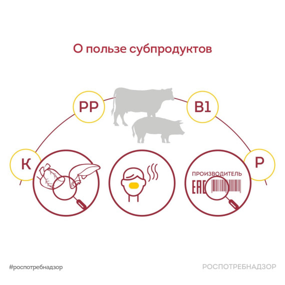 Роспотребнадзор напоминает о пользе субпродуктов. Роспотребнадзор напоминает о пользе субпродуктов.