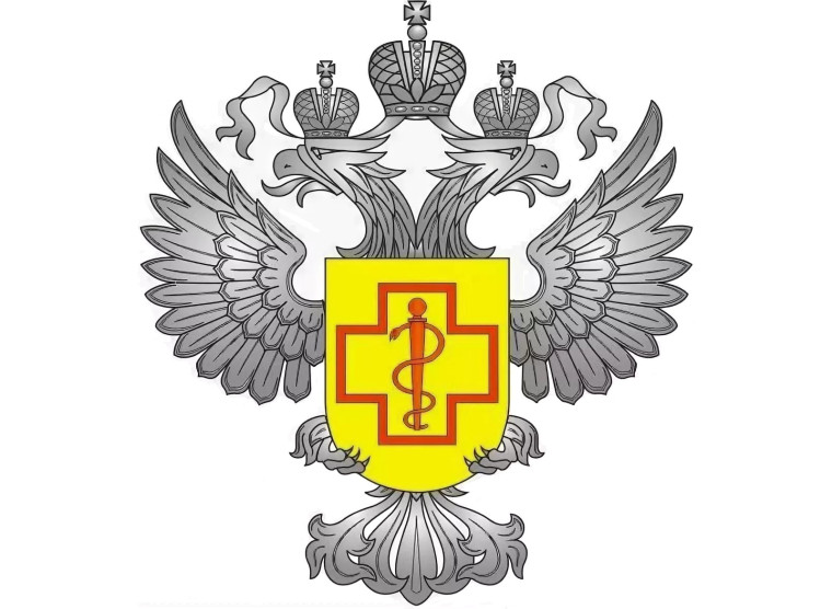 Профилактика вирусных инфекций. Профилактика вирусных инфекций.
