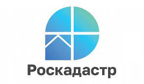 О выписках из ЕГРН. О выписках из ЕГРН.